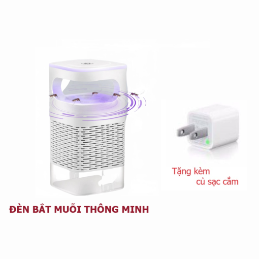 8615 Den hut va bat muoi 2